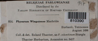 Image Associated With the Occurence